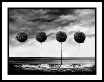 33% OFF on Four Trees Fine Art Print