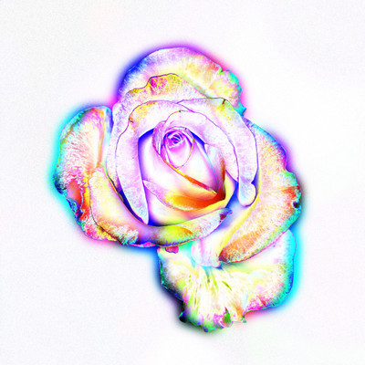 50% OFF on Colourful Flowers 74 Canvas Art