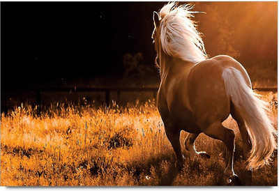 34% OFF on Amy Running Horse 3D Poster