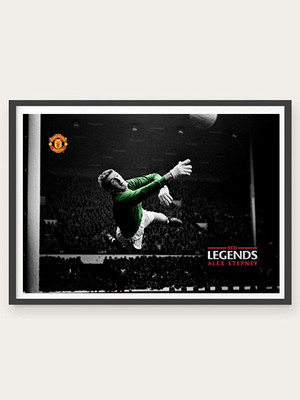 70% OFF on Alex Stepney 