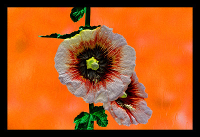 50% OFF on Two Hibiscus Canvas Art