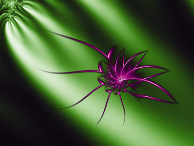 50% OFF on Fractal flowers Canvas Art