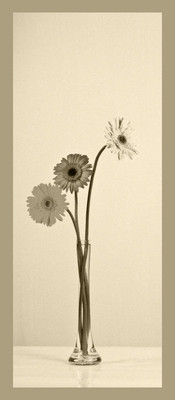 50% OFF on Gerbera in Paper Print 50% OFF on Gerbera in Paper Print