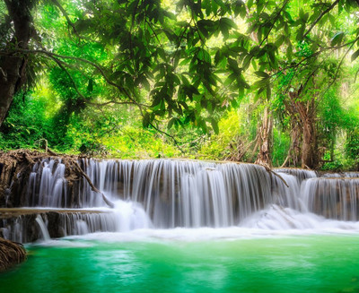 80% OFF on Holicshop Painting Without Frame -Nature Canvas Art