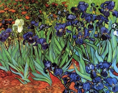 8% OFF on Irises [2] Small by Van Gogh Fine Art Print