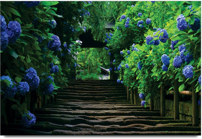 34% OFF on Amy Nature Blue Flowers 3D Poster