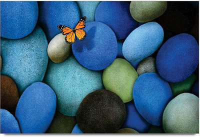 34% OFF on Amy Big Stones Butterfly 3D Poster