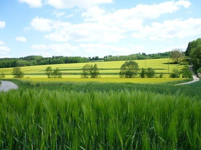 16% OFF on Pleasant Greenery Poster Paper Print