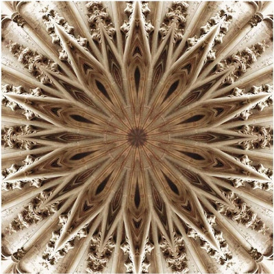 Montage - Basilica Of St. Nazaire Fine Art Print