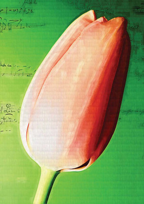 44% OFF on Lilly Paper Print 44% OFF on Lilly Paper Print