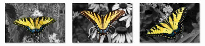 33% OFF on Yellow Butterfly Fine Prints Fine Art Print