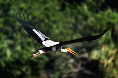 50% OFF on In Flight Canvas Art