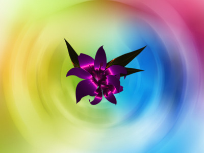 50% OFF on Floral designs 03 Paper Print