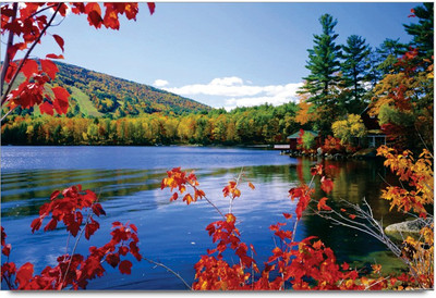 34% OFF on Amy Nature Natural Beauty 3D Poster 34% OFF on Amy Nature Natural Beauty 3D Poster