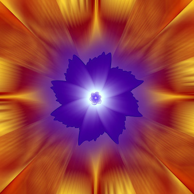 50% OFF on Fractal flowers Paper Print