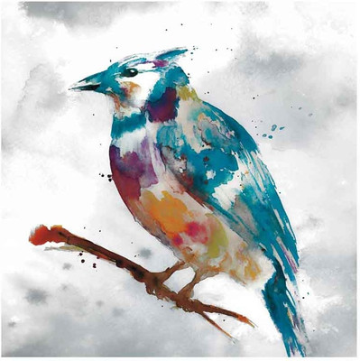 Montage - Blue Jay Fine Art Print