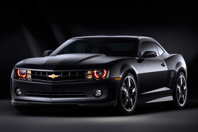 50% OFF on Camaro Paper Print 50% OFF on Camaro Paper Print