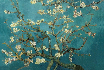 40% OFF on Turquoise Almond Branches In Bloom Paper Print