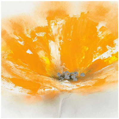 Montage - Wild Orange Sherbet I Fine Art Print
