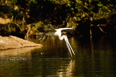 50% OFF on For a Paper Print