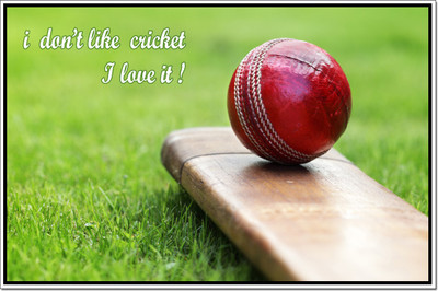 66% OFF on Motivational Cricket Poster Paper Print