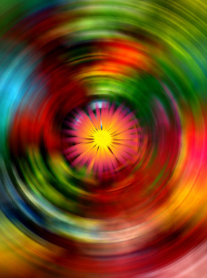 50% OFF on Colourful Flowers Canvas Art