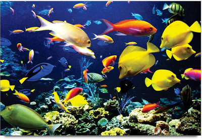 34% OFF on Amy Beautiful Under Water Colorful Fishes 3D Poster