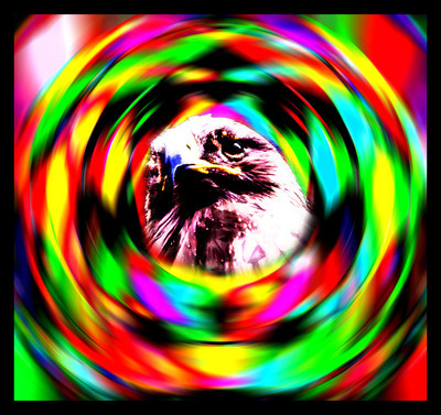 50% OFF on Eagle eyes Paper Print 50% OFF on Eagle eyes Paper Print