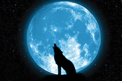 62% OFF on Wolf In The Night Poster Photographic Paper
