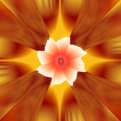 50% OFF on Fractal flowers Canvas Art