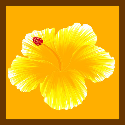 50% OFF on Painted Hibiscus Paper Print
