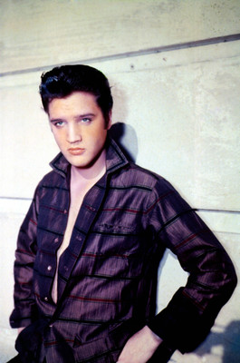 12% OFF on Elvis Presley Fine Art Print 57.333333333333336 inch X 37.943333333333335 inch