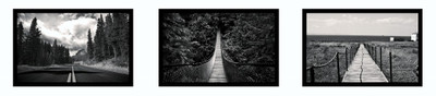 33% OFF on Walking paths Fine Prints Fine Art Print