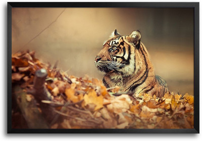 46% OFF on Indian Tiger Wildlife Laminated Framed Paper Print