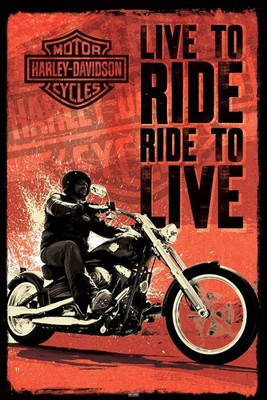 12% OFF on Harley Davidson - Live to Ride Paper Print 12% OFF on Harley Davidson - Live to Ride Paper Print