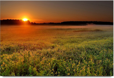 34% OFF on Amy Bright Beautiful Sunrising Scenery Paper Print