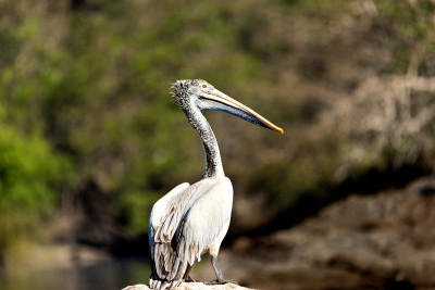 50% OFF on At rest Paper Print