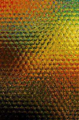 50% OFF on Beehive colours Canvas Art