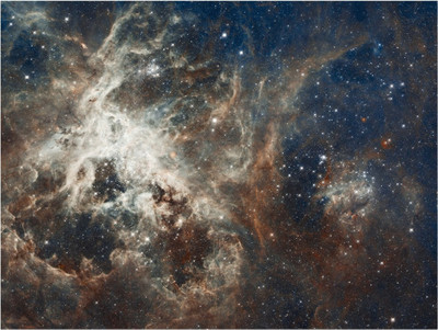 67% OFF on Rajo Raja Tarantula Nebula Poster Paper Print