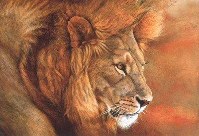 56% OFF on Wild Lion Fine Art Print 56% OFF on Wild Lion Fine Art Print