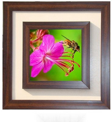 29% OFF on Lila Painting DVL- S- 818 With Wooden Frame Canvas Art 29% OFF on Lila Painting DVL- S- 818 With Wooden Frame Canvas Art