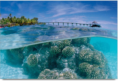 34% OFF on Amy Nature with Sea Beauty Resulting Peace for Living 3D Poster