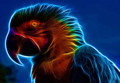 35% OFF on Bird Fine Art Print