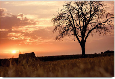 75% OFF on Amy Vintage Beautiful Summer Evening Scenery Paper Print 75% OFF on Amy Vintage Beautiful Summer Evening Scenery Paper Print