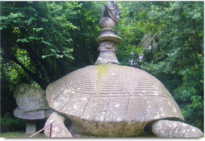 50% OFF on Turtle Paper Print 50% OFF on Turtle Paper Print