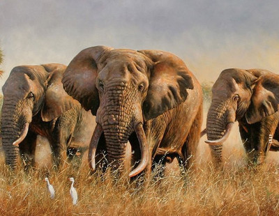 80% OFF on Holicshop elephant Canvas Pianting without Frame Canvas Art