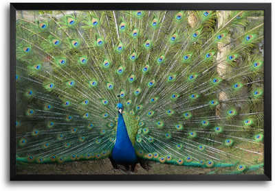 46% OFF on Peacock with Feathers Open Laminated Framed Paper Print