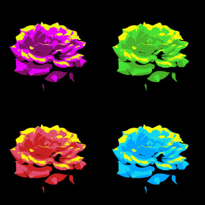 50% OFF on Colourful Flowers 84 Canvas Art