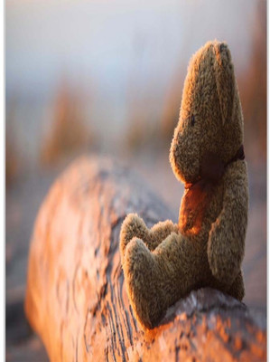 37% OFF on Sad Teddy Poster (12 x 18 Inches) by Shopkeeda Paper Print 37% OFF on Sad Teddy Poster (12 x 18 Inches) by Shopkeeda Paper Print