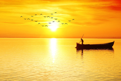 63% OFF on Nature Canvas Art